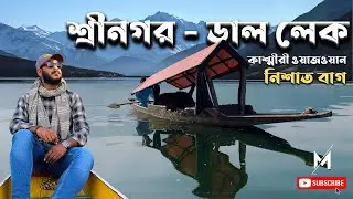Srinagar | Dal lake Kashmir | ডাল লেক | Shikara | শ্রীনগর - কাশ্মীর  | Kashmir Travel Guide