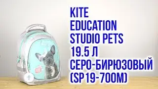 Распаковка Kite Education Studio Pets Серо-бирюзовый SP19-700M