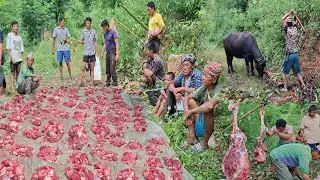 Village Buffalo Cutting || Buffalo Meat Cutting In Nepali Village Style || Meat Cutting Skills