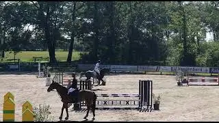 Mr Cornet de Regor 1 6 2021