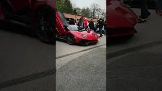 This Custom Lamborghini Aventador Stole the Show at Toros Customs!
