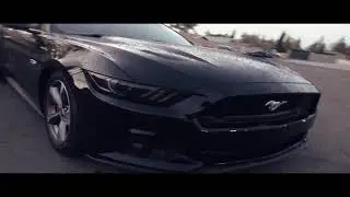 gt project 254