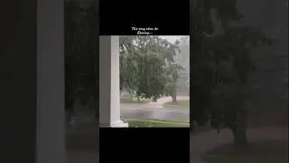 This song + Rain ।Rhtdm bgm । rhtdm status। Rhtdm song| love status #shorts #lovestatus #shortsfeed