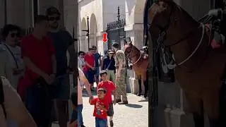 &ldquo;Bravery or Foolishness? The Tourist Who Tested the King&rsquo;s Guard! 😲🐴 #YoutubeShorts