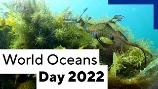 World Oceans Day 2022