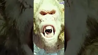 Monster Rampage 2025 | City Under Attack 💥 | Epic Action by Ayan My World