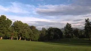 Align T-Rex 500E DFC Demo Flight