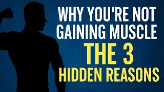 Why You&rsquo;re Not Gaining Muscle &mdash; The 3 Hidden Reasons