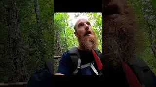 Man vs. Delicious Bear. #bear