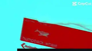Humpback broke the clock
