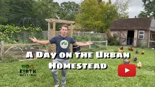 A Day in The Life On Our Urban Homestead (A Day In The Life of Earth, Nails & Tails)