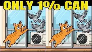 Only 1% Can Beat This Spot the Difference 🎮567 Find 3 Differences