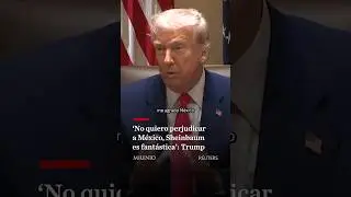 Трамп говорит о Шейнбаум: &laquo;Она фантастическая женщина&raquo;.
