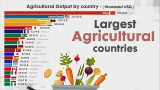 Top 20 AGRICULTURAL COUNTRY in the world by AGRICULTURE OUTPUT (1961 - 2024)