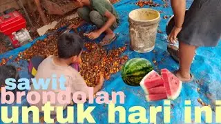 LAGI SEMANGAT TERUS KAWAN KECIL #shorts #sawit #sorotan #brondolan #viral #mesinperontok #posting 