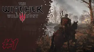 LOOKS LIKE GWENT - The Witcher 3: Wild Hunt Part 1