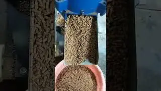 High quality flat die wood sawdust pellet making machine biomass wood pellet production line