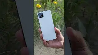 Google Pixel 3xl vs Pixel 4xl Camera portrait comparison - 4xl vs 3xl portrait mode comparison