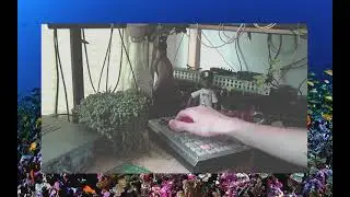 SP404 ambient live set - Robinson's Village  - 12/06/21