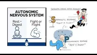 Parasympatholytics