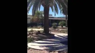 Old Paddock pools Scottsdale,az