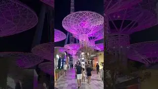 Typical Evening at Blue water island | Dubai Marina | JBR Beach #evening #bluewatersisland #jbr