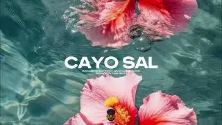 CAYO SAL | Instrumental Merengueton | Alleh | Yorghaki Type Beat 2025