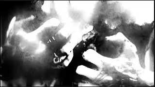 Statiqbloom - Feel The Flesh