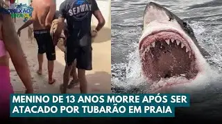 Adolescente De 13 Anos Morre Ap&oacute;s Ataque De Tubar&atilde;o Em Olinda (PE) | Conex&atilde;o Brasil 