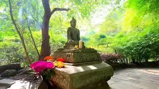 Shrine Rest &ndash; Calming Lofi Music
