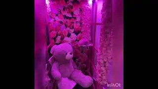 JEFF LEGACY GMS - CITY DREAMS OFFICIAL SONG 2026 #music #whtts #zedmusic ft ishowspeed 2026 #ishow