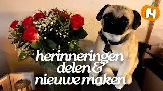 Pip haar verjaardag vieren 🤍🕊️ ★ Vlog 1191