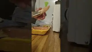 Multi-Purpose Kitchen Scissors