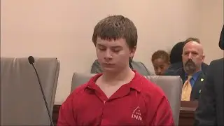 Teen killer Aiden Fucci appealing life sentence