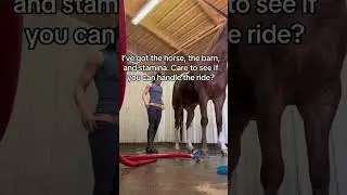 Good horse 🥰❤️ #horse #horses #horseriding #horsevideo #horseracing #horserider #funny