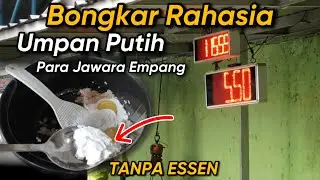 Umpan Putih Racikan Para Juara Tanpa Essen