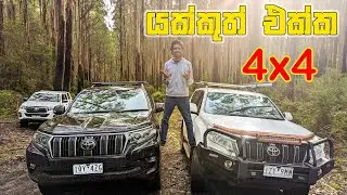 යක්කුත් එක්ක Off Road | Aussie Diaries | Toolangi National Park |🇦🇺