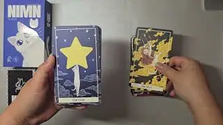 Stray cat tarot series - Nimn