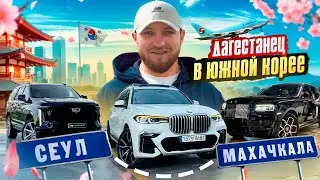 ХАБИБ МУСАФИР В ЮЖНОЙ КОРЕЕ // ОТКРЫЛ СВОЙ ОФИС ПО ПРОДАЖАМ АВТО
