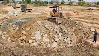 Nice Work Landfill Processing Operator Bulldozer Push Soil and Dum Truck Pouring Soil into the Lake
