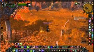 World Of Warcraft Как приручить курицу Западного Края
