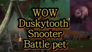 WOW Duskytooth Snooter Battle pet location (11.1): Mecha-Safari