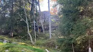 H&ouml;jdpunkt 1:00 &ndash; 5:58 fr&aring;n Avverkning