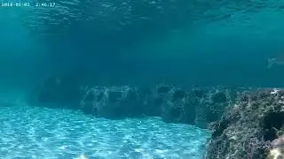 ANMR0008 ReefBalls 5