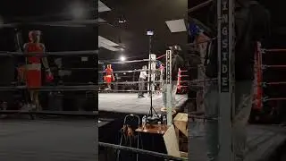 STL VS EVERYBODY 2025 WINNERS @ SHOW FIGHT #boxers #winners #stlvseverybody #boxingevent #fyp #888