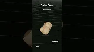 Baby Bear Photogrammetry