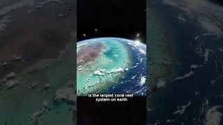 3 Interesting Facts About Australia 🇦🇺