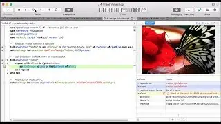 Script Debugger 7: Viewing Variables & Values