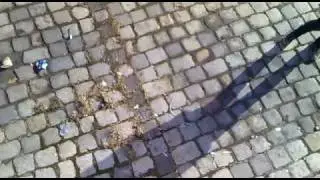 Lukas, Laura und Michii in der Stadt