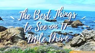 Best Things to See on 17-Mile Drive